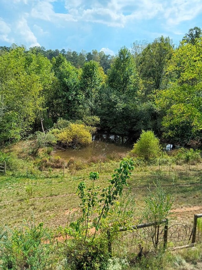 332 Miller Rd, Brasstown, NC 28902 - photo 2