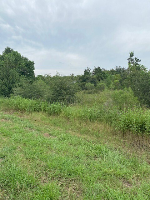 TBD Megan Dr, Fairchilds, TX 77461 - photo 4