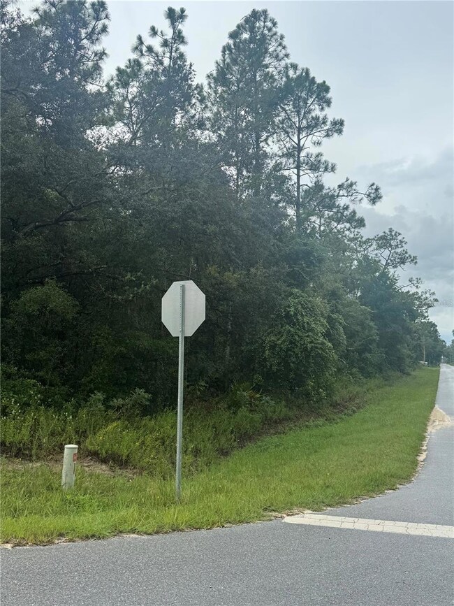 0 Southeast Ave unit MFRO6338893, Webster, FL 33597 - photo 2