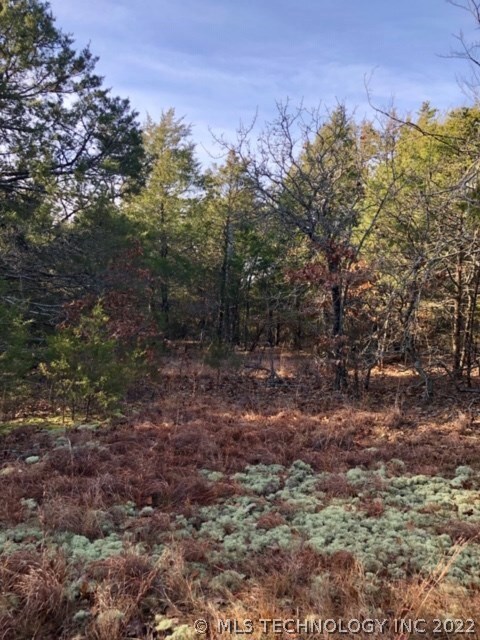 Perfect spot for homesite