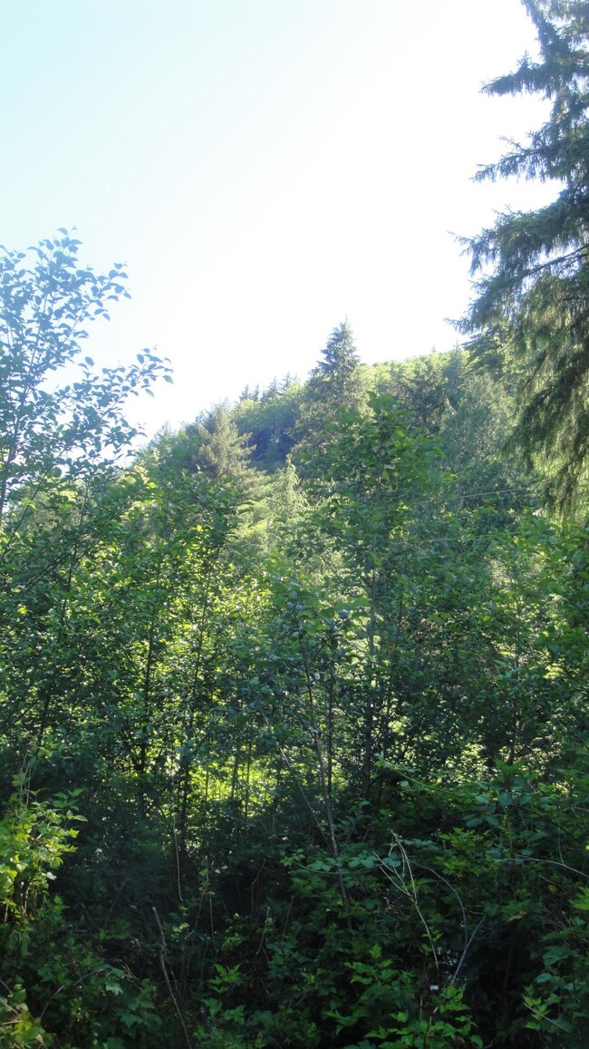 0 Miami Foley Rd unit 16-552, Nehalem, OR 97131 - photo 5