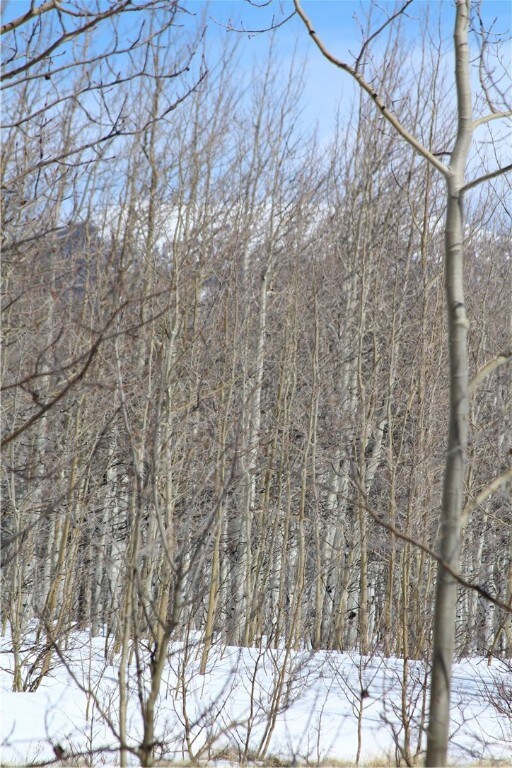 568 Dry Lake Rd, Fairplay, CO 80440 - photo 7