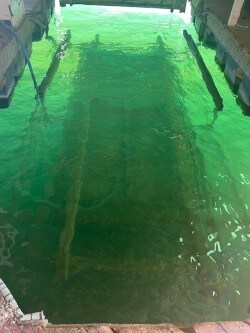 0 Tomahawk Ln unit 1327333, Garfield, AR 72732 - photo 7