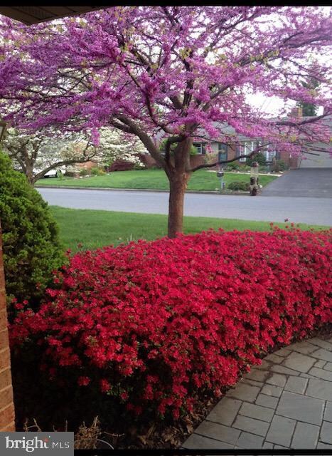 13528 Donnybrook Dr, Hagerstown, MD 21742 - photo 3