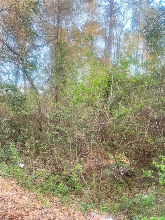 4th Shadowridge Ln, Phenix City, AL 36869 - photo 3