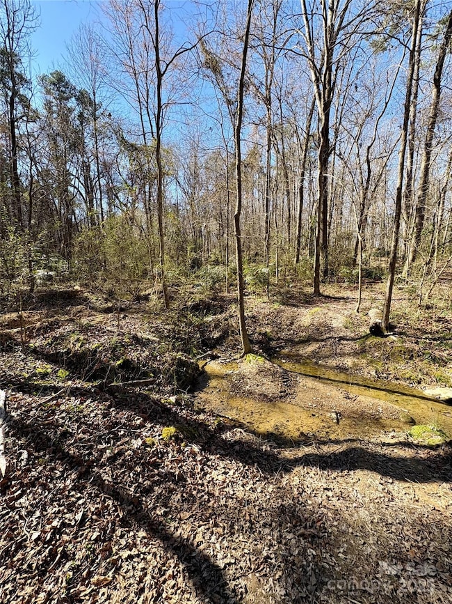 1417 Ellis Griffin Rd, Wingate, NC 28174 - photo 5