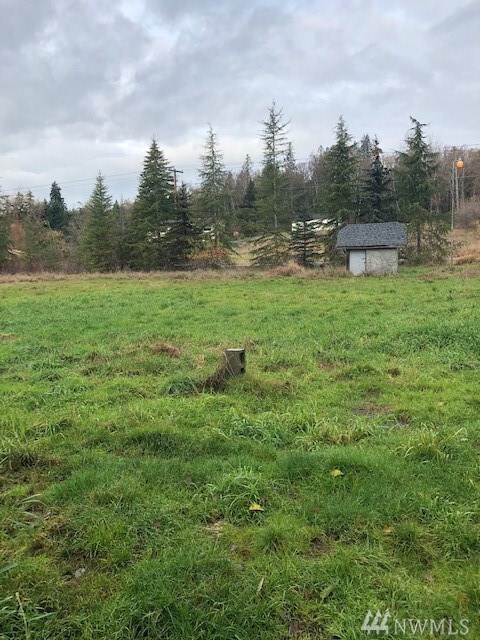 3175 Haynie Rd, Custer, WA 98240 - photo 4