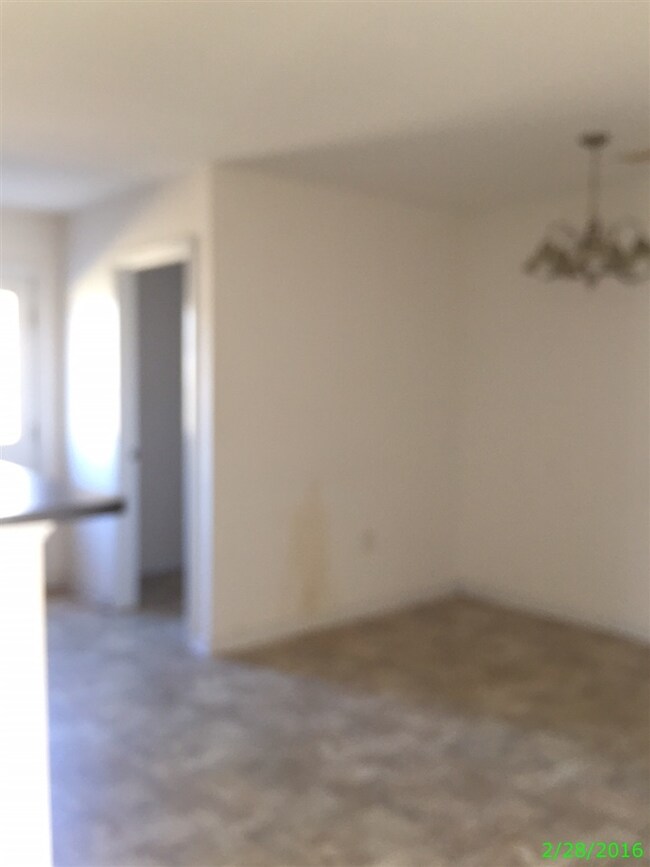 Additional Photo