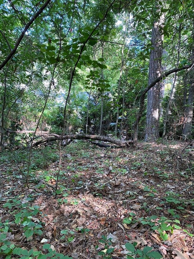 Another View of House Site Location