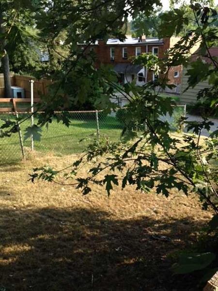 Yard/Garden.