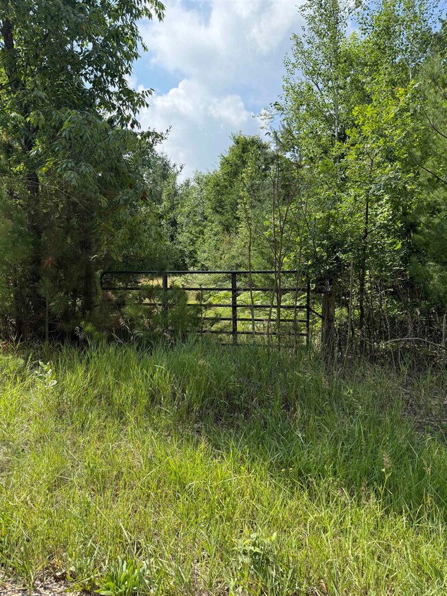 VL 61.11 Acres E Howard Rd, Hay Township, MI 48612 - photo 4