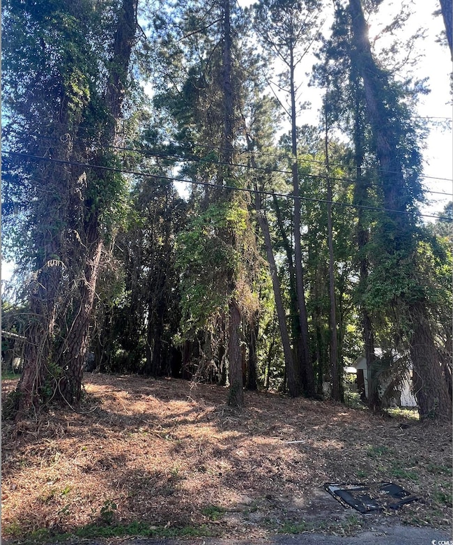 1229 Park Hill Dr, Conway, SC 29526 - photo 4