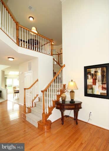 43071 Holly Tree Ln, Chantilly, VA 20152 - photo 6