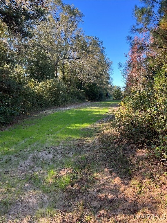 75 Highway 82 Hwy, Booth, AL 36064 - photo 2