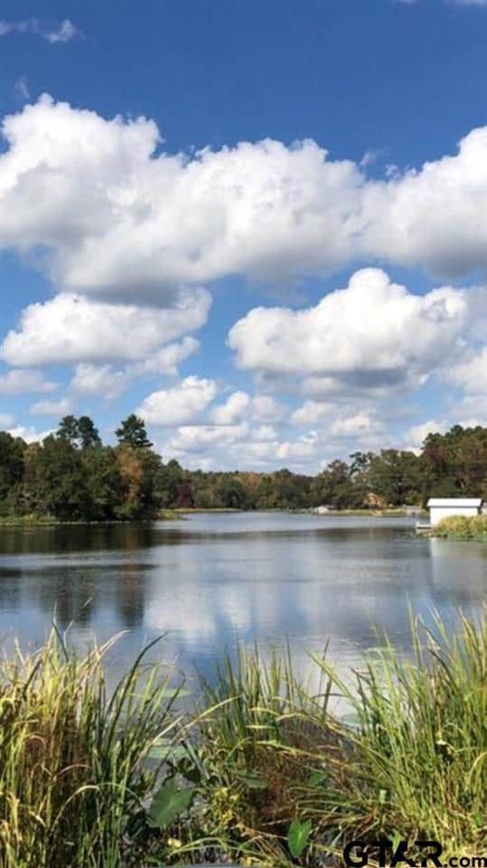 15502 County Road 288, Tyler, TX 75707 - photo 3