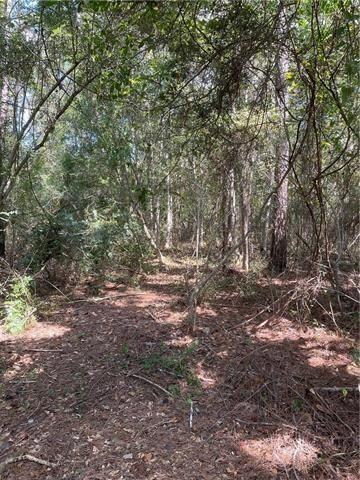 2648 Highway 190, Slidell, LA 70460 - photo 7