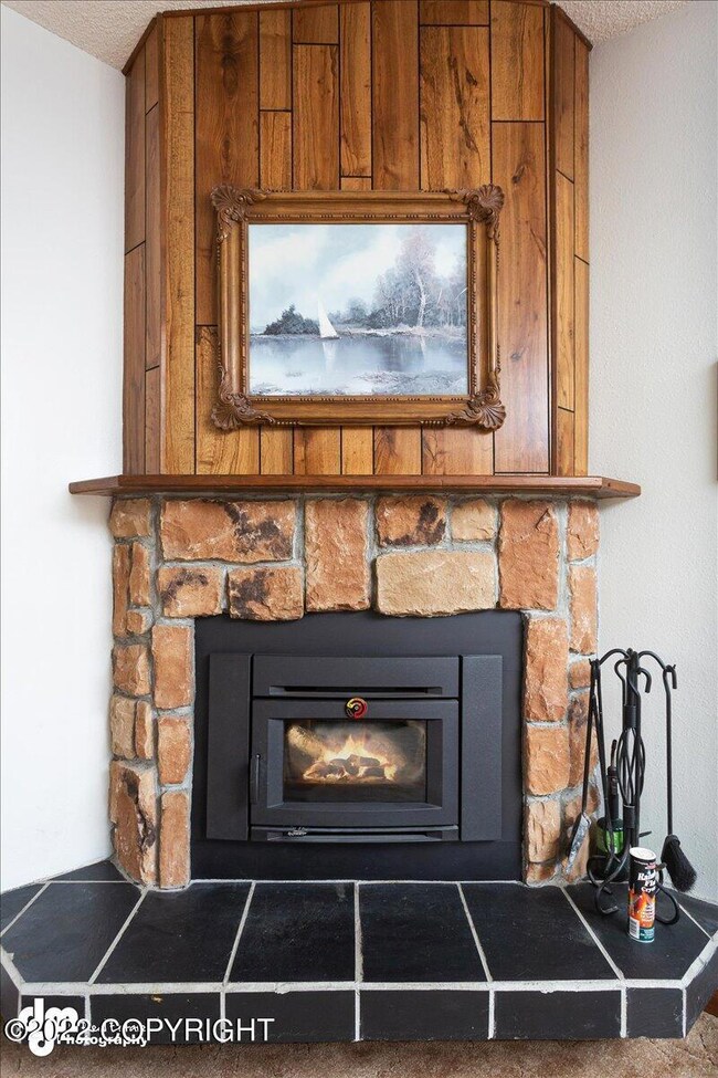 Woodstove insert