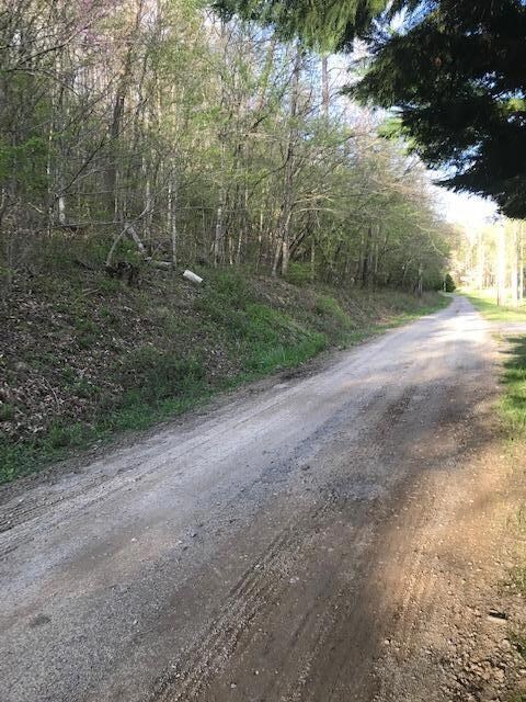 Creek Hollow Way view