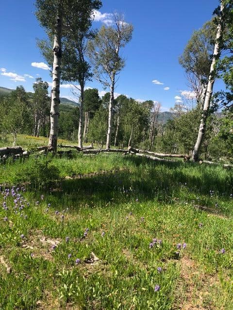 20 Acres Miners Peak Rd, Cedar City, UT 84720 - photo 3