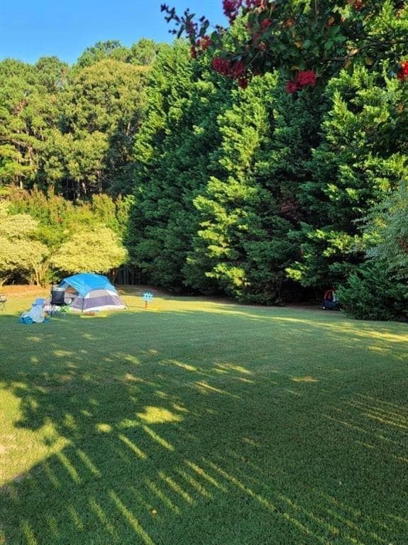 View of grassy yard featuring a view of trees