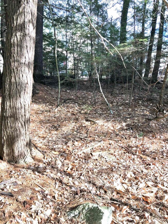 00 Beaver Glen Rd, Hillsboro, NH 03244 - photo 5