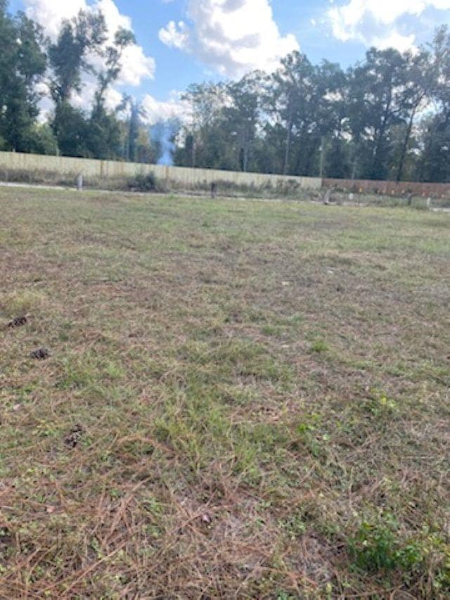 xx Ashley Hall Rd, Crawfordville, FL 32327 - photo 4