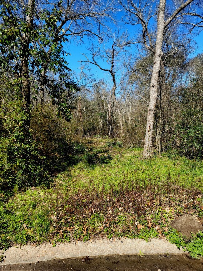 504 Colonial Dr, Friendswood, TX 77546 - photo 3