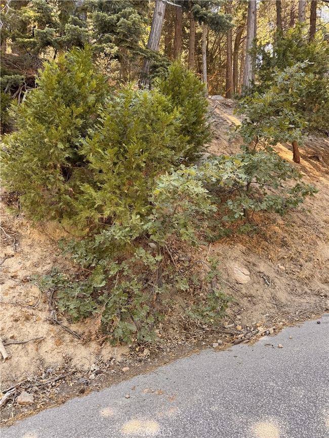 24355 Albrun Dr, Crestline, CA 92325 - photo 4