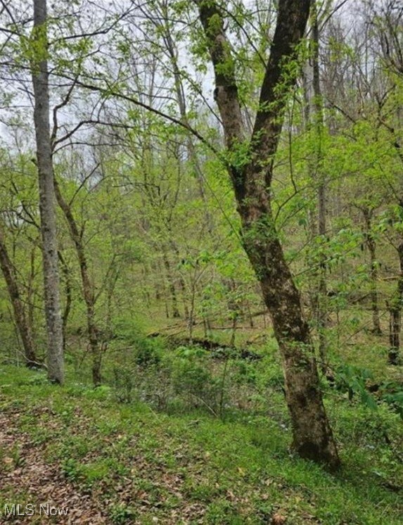 1247 Rocky Branch Rd, Linden, WV 25259 - photo 4