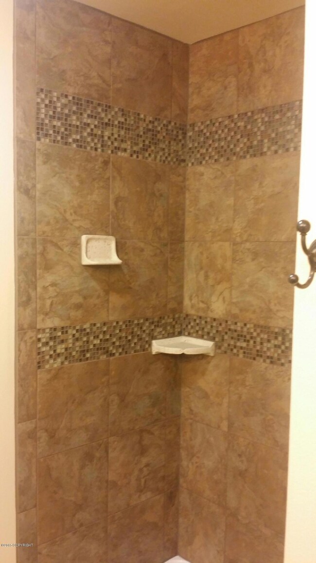 master shower similar