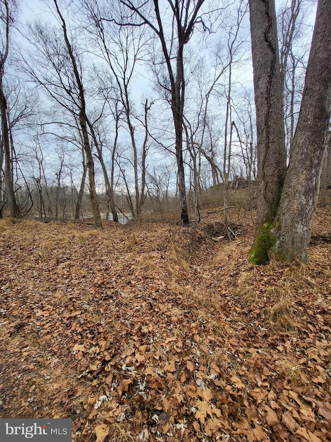 Lot 29 & 30 Sugar Maple Ln, Shannondale, WV 25425 - photo 2