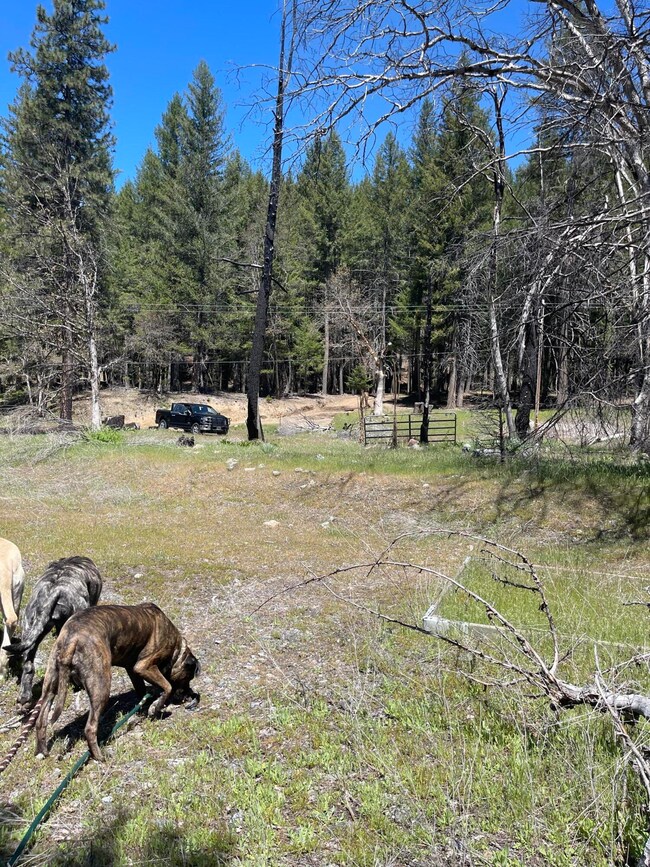 300 Cedar Gap Rd, Ruth Lake, CA 95526 - photo 7