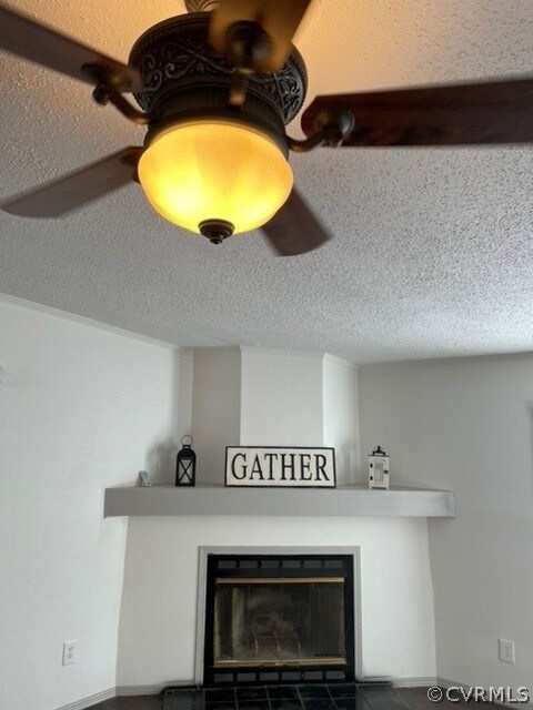 15210 Wright Rd, Amelia Court House, VA 23002 - photo 6