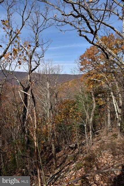 0 Gid Brown Hollow Rd unit VARP2000702, Washington, VA 22747 - photo 7