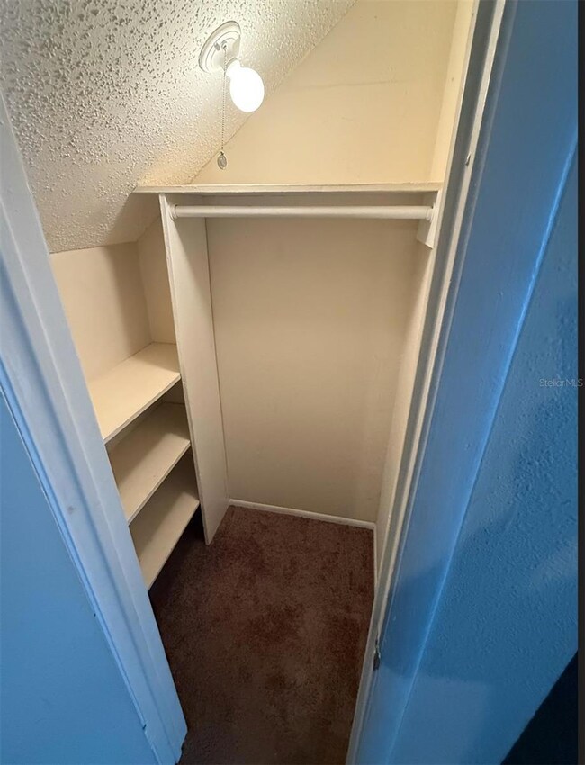Storage closet under stairs.