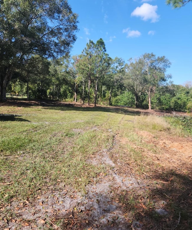 13012 NE 14th Ave, Okeechobee, FL 34972 - photo 6