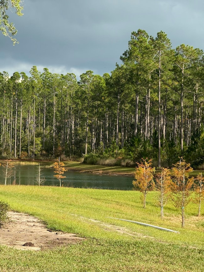 Lot 36 Reserve at Hammock Bay, Freeport, FL 32439 - photo 7