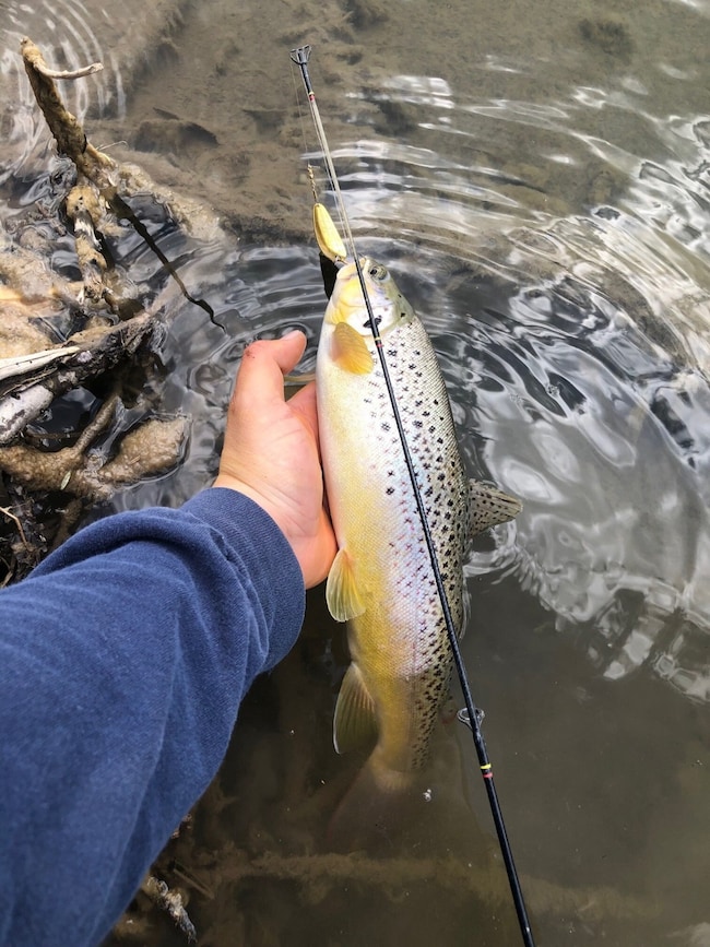 1459 New Mexico 173, Navajo Dam, NM 87419 - photo 5