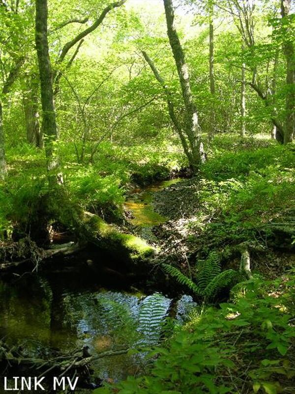 01 Moshup Trail, Aquinnah, MA 02535 - photo 4