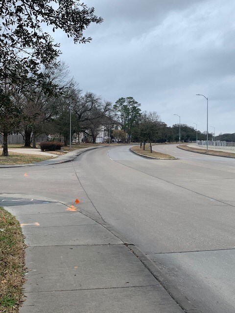 2731 S Braeswood Blvd, Houston, TX 77025 - photo 6