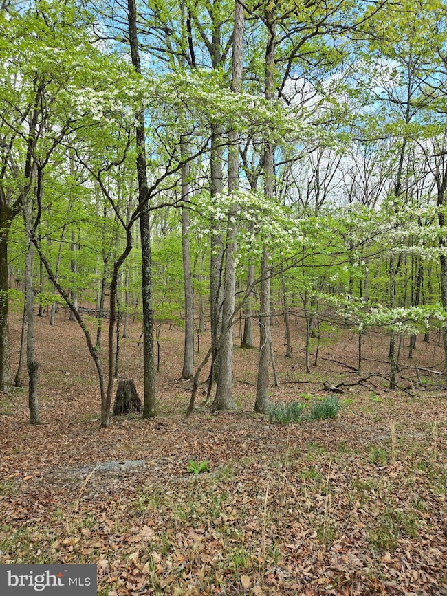 0 Pioneer Trail unit WVMO2005610, Great Cacapon, WV 25422 - photo 7