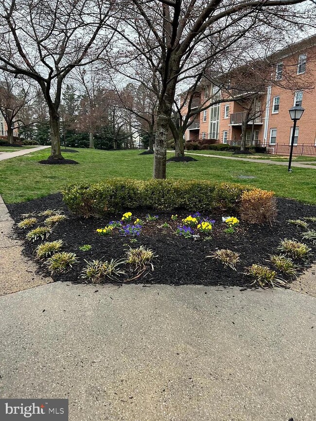 3330 Spring Ln unit D24, Baileys Crossroads, VA 22041 - photo 2