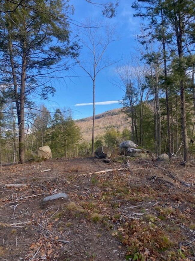 15-12-10-13 Jacob Hall Farm Rd, Rumney, NH 03266 - photo 6