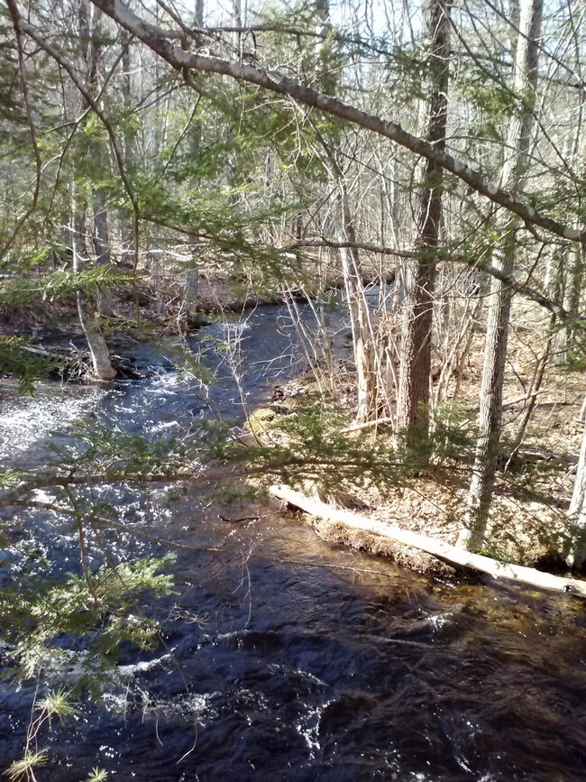 babbling brook