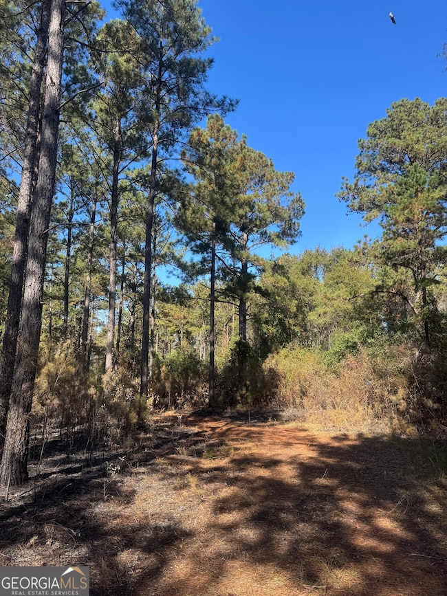 131 W Drummond Rd, West Point, GA 31833 - photo 3