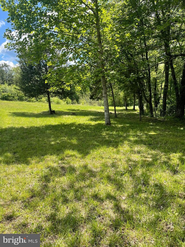 8714 Whites Ln, Spotsylvania, VA 22551 - photo 6