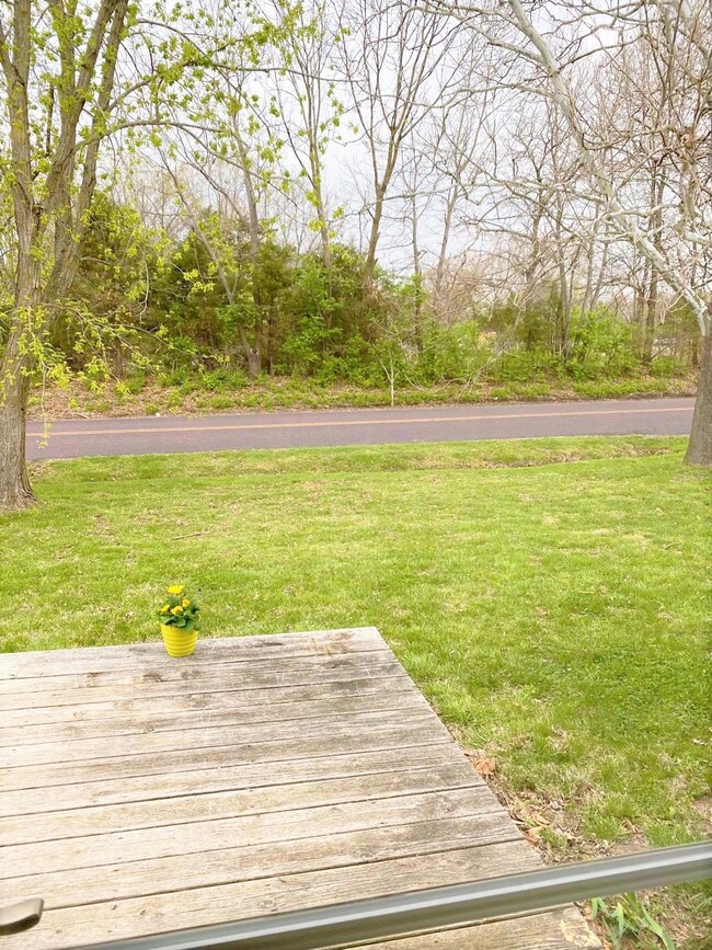 View from front deck