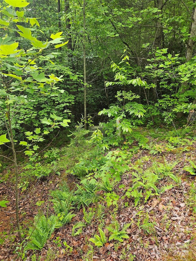 00 Brookside Pkwy unit 24, Lake Lure, NC 28746 - photo 4