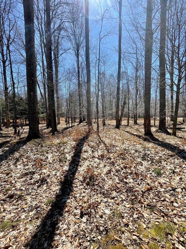 0 W Nanninga Dr unit 19, Ludington, MI 49431 - photo 3