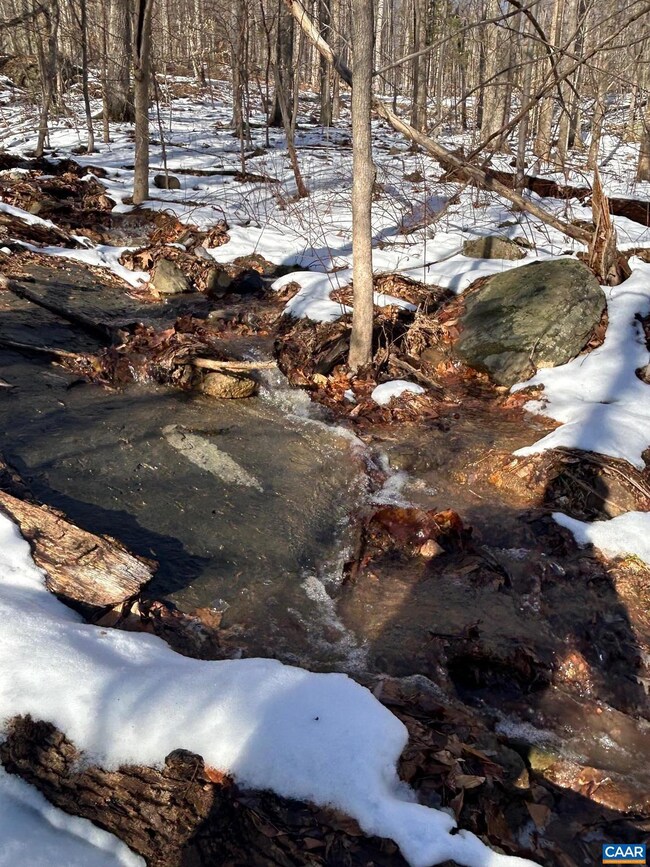 0 Stone Chimneys Rd unit 1 661050, Nellysford, VA 22958 - photo 7